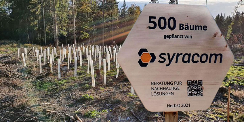 Hinweisschild steht vor Setzlingen